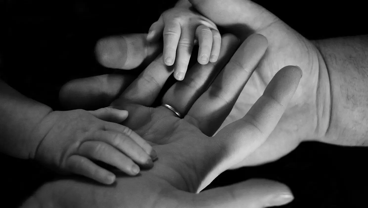 Famille & patrimoine